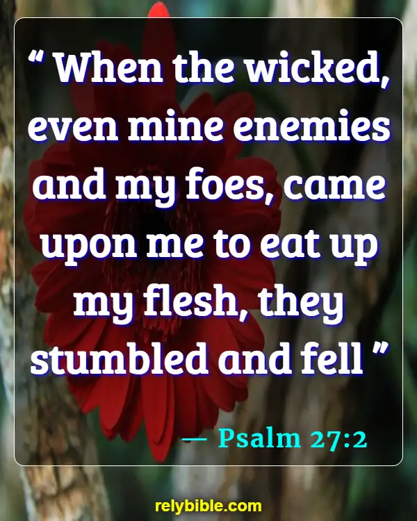 Bible verses About Bravery (Psalm 27:2)