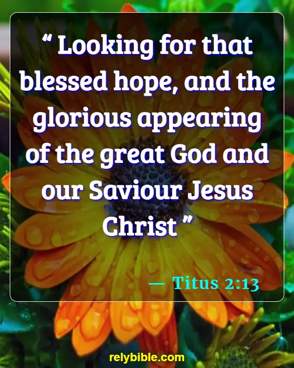 Bible verses About Looking Forward (Titus 2:13)
