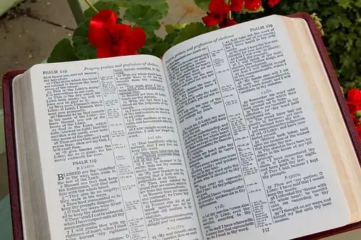 Bible Verses About Dress Code