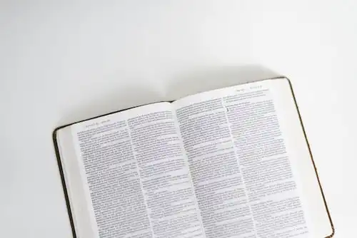 Bible Verses About Female Pastors
